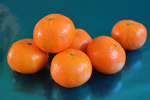 Clémentine Orri